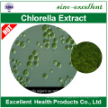 Poudre de chlorella et de spiruline organique de haute qualité